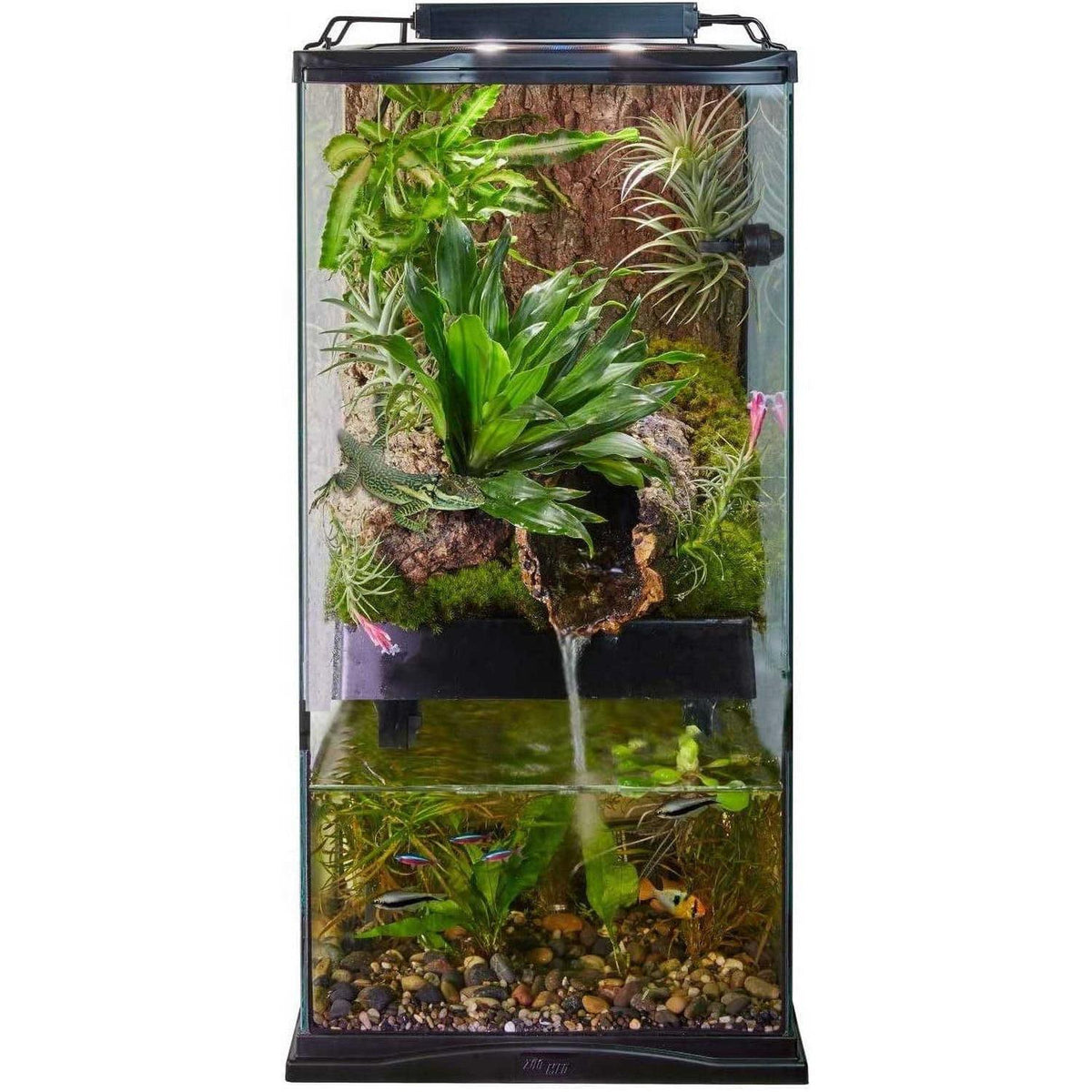 Paludarium Terrarium and Aquarium S13819