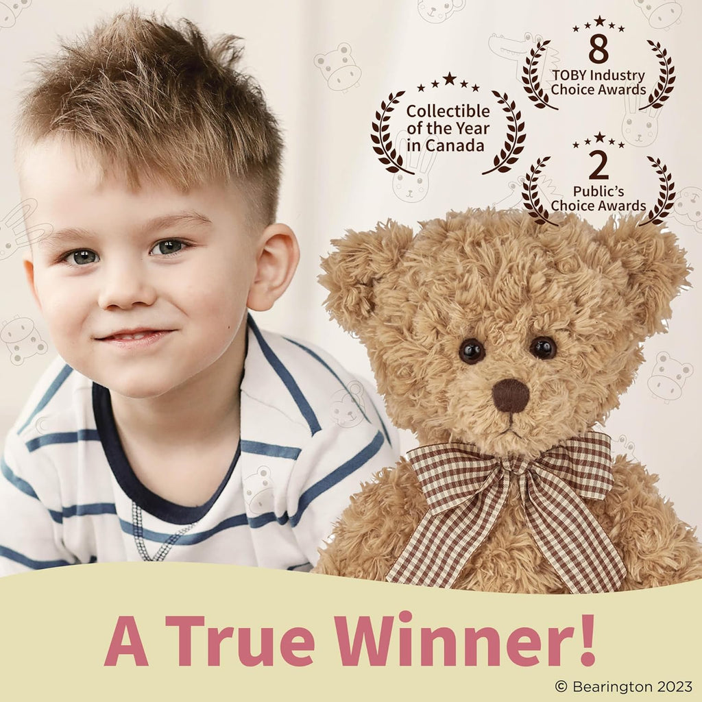 Brown Plush Teddy Bear, 17 inches D598890