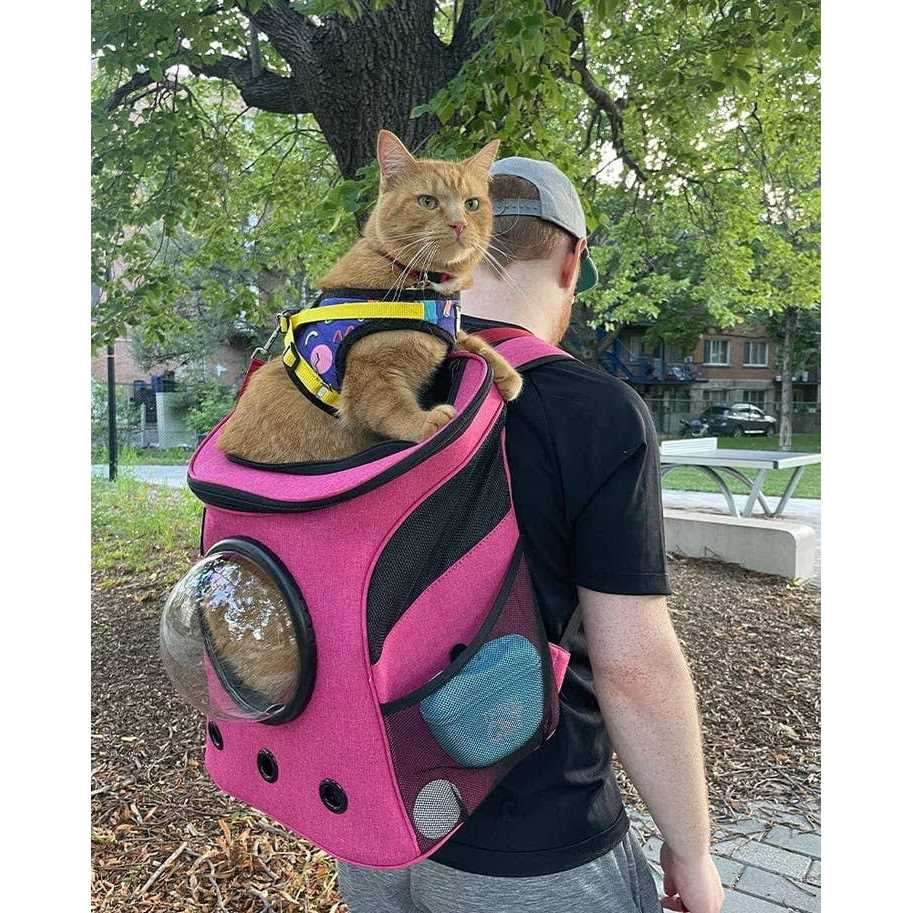 Cat Backpack Z3094