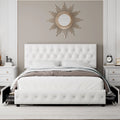 Queen Size Velvet Storage Bed with 4 Drawers W152042
