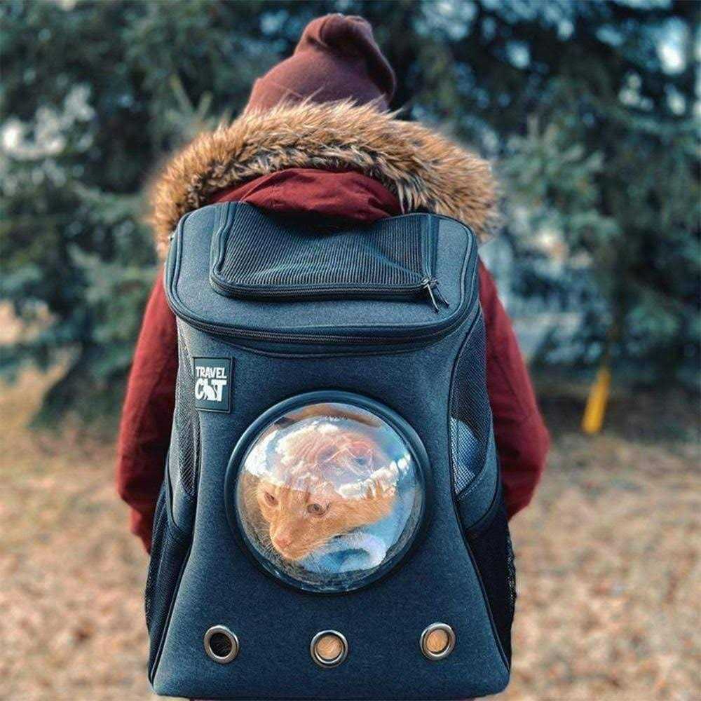 Cat Backpack Z3094