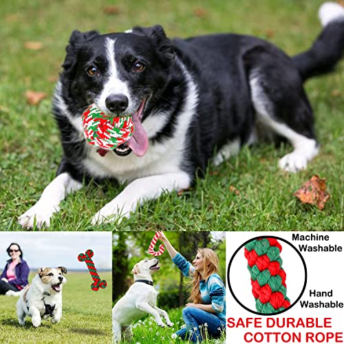 Christmas Dog Rope Toys 6 Pack H11852
