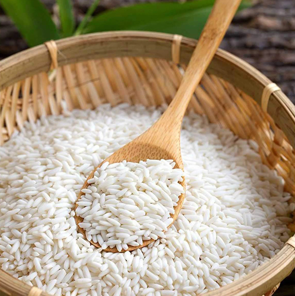 Thai Sweet Glutinous Rice 5 lbs I255230