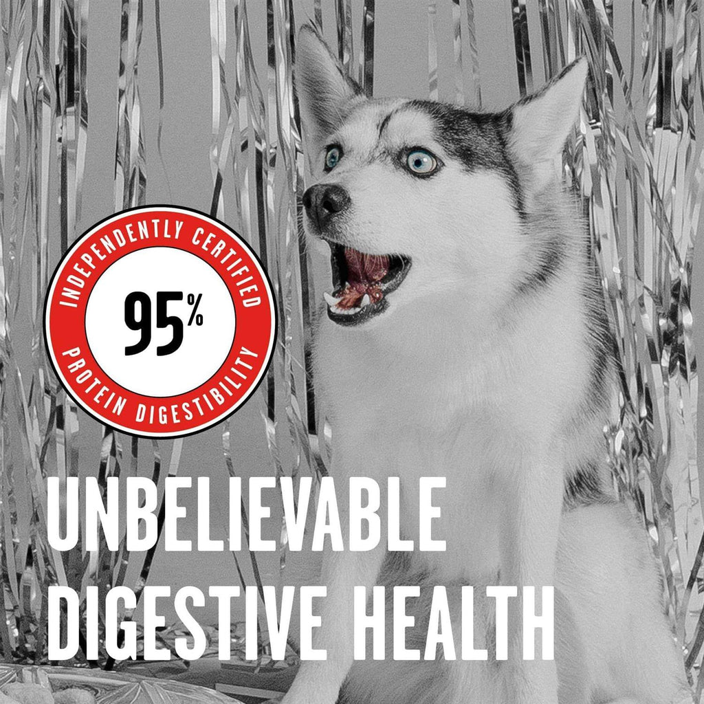 Freeze Dried Beef Dog Food Y46140