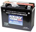 Replacement Battery For Yuasa Motorcross Yu-ytx24hl-bs X709