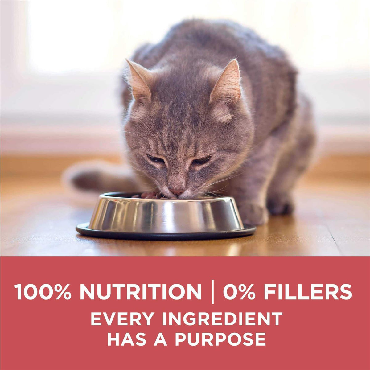 Indoor Dry Cat Food Z140