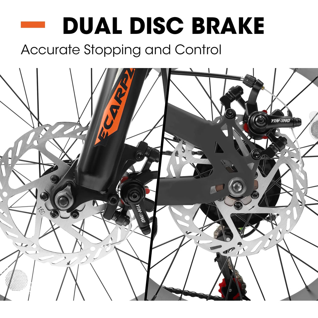 20 Inch Fat Tire Mountain Bike with Dual Disc Brake High-Carbon Steel Frame S771