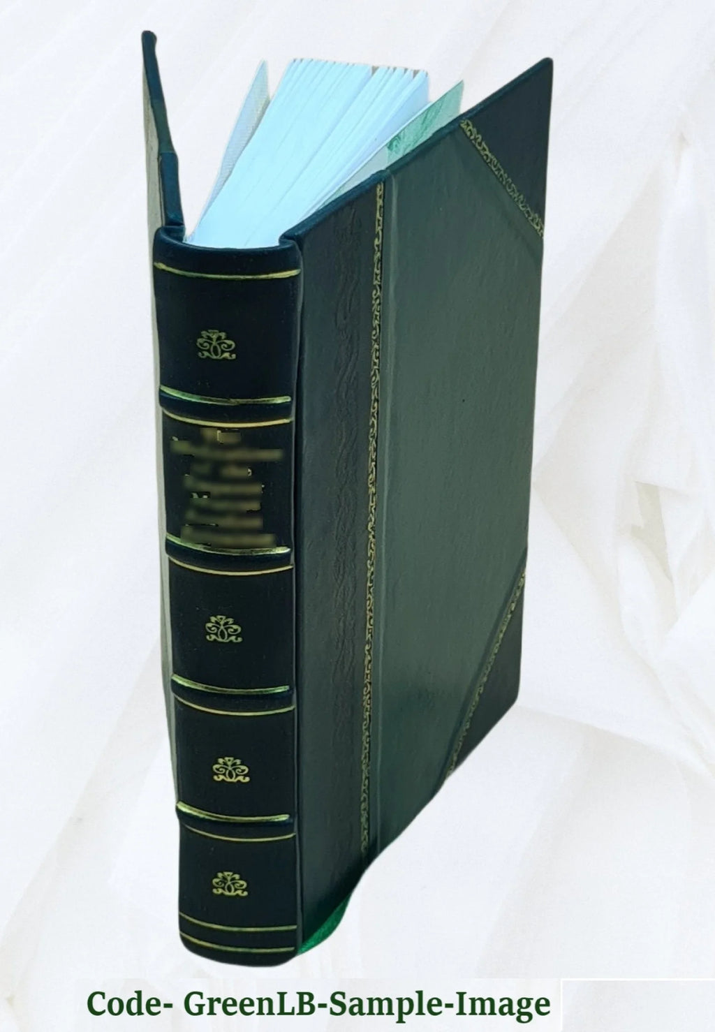Leather Bound Book H4752
