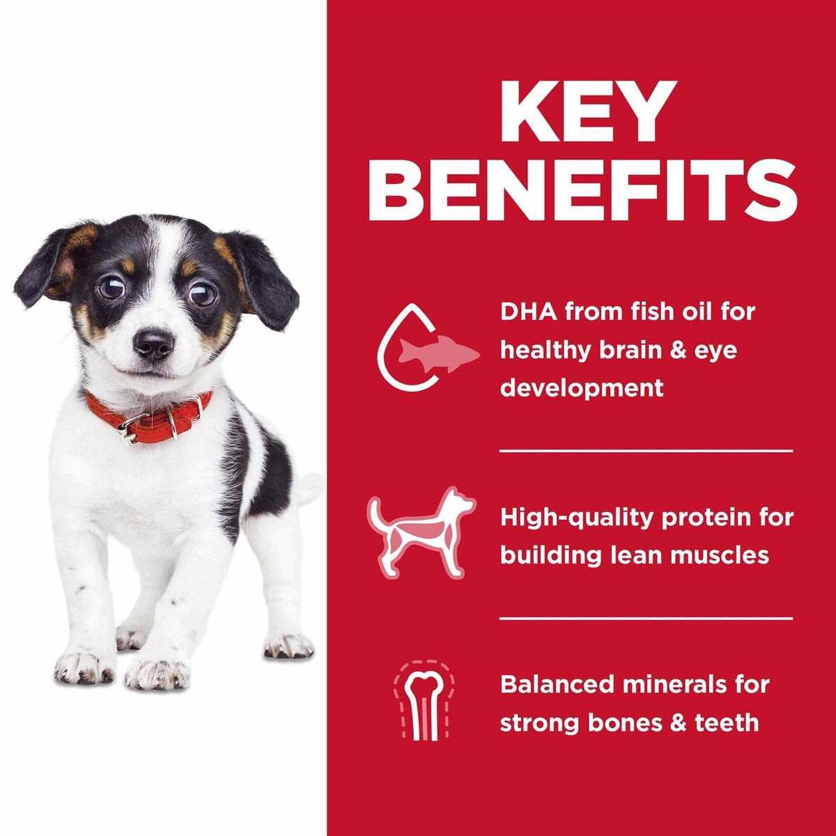 Puppy Dry Dog Food H230