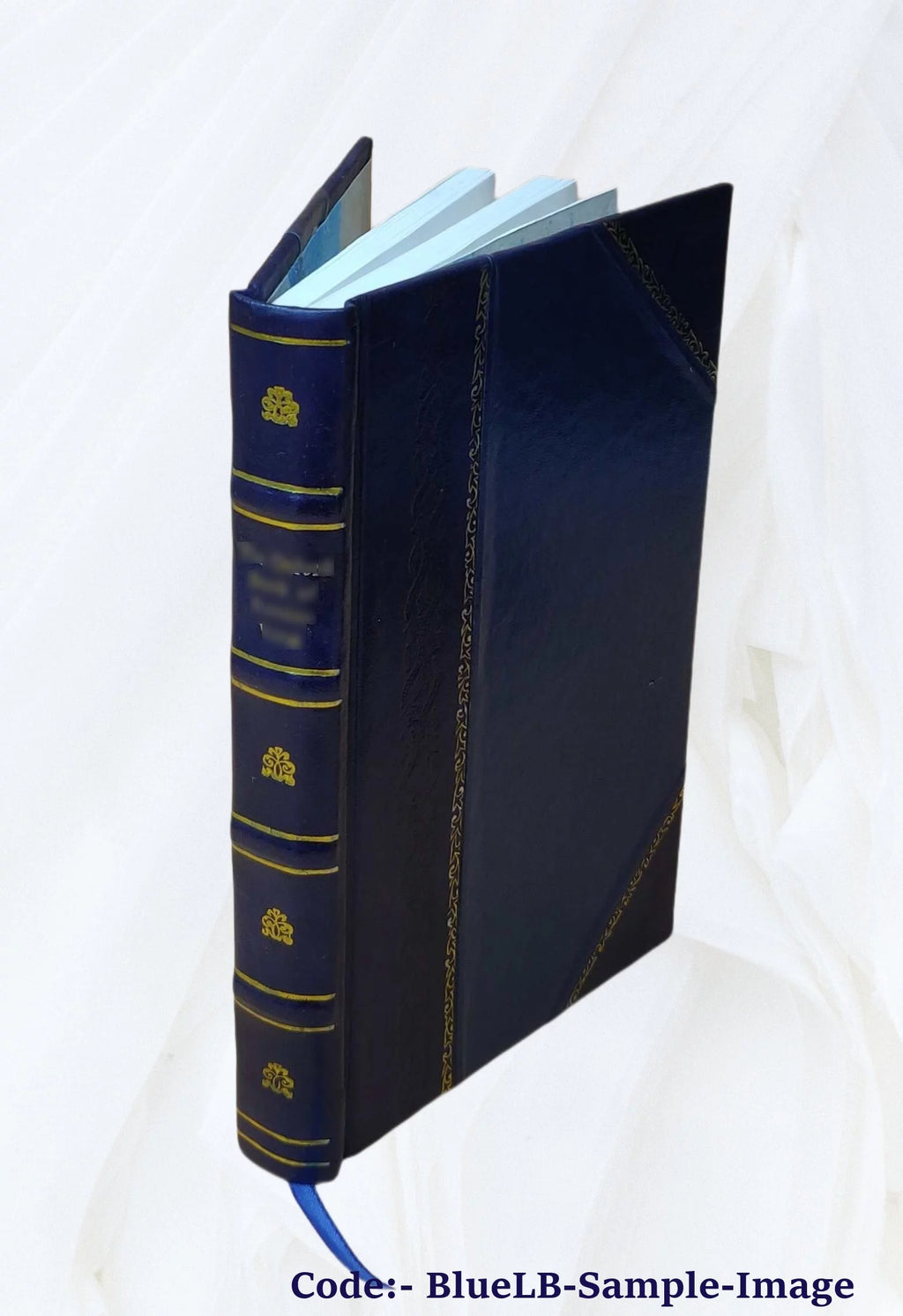Summa ethicae, siue, introductio in Aristotelis, et theologorum doctrinam moralem P3961