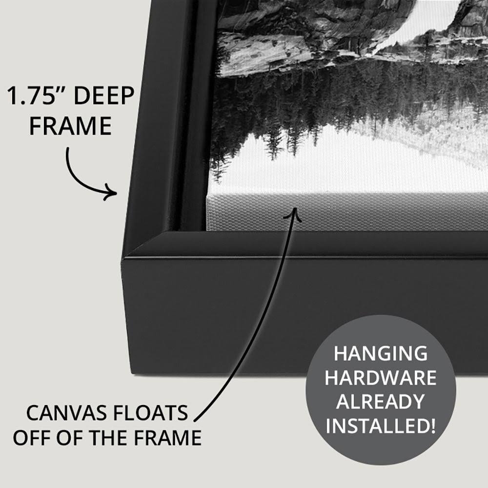 Black Float Frame Canvas Art J612