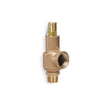 Safety Relief Valve, 1 x 1-1/4 In, 175 PSI C14142