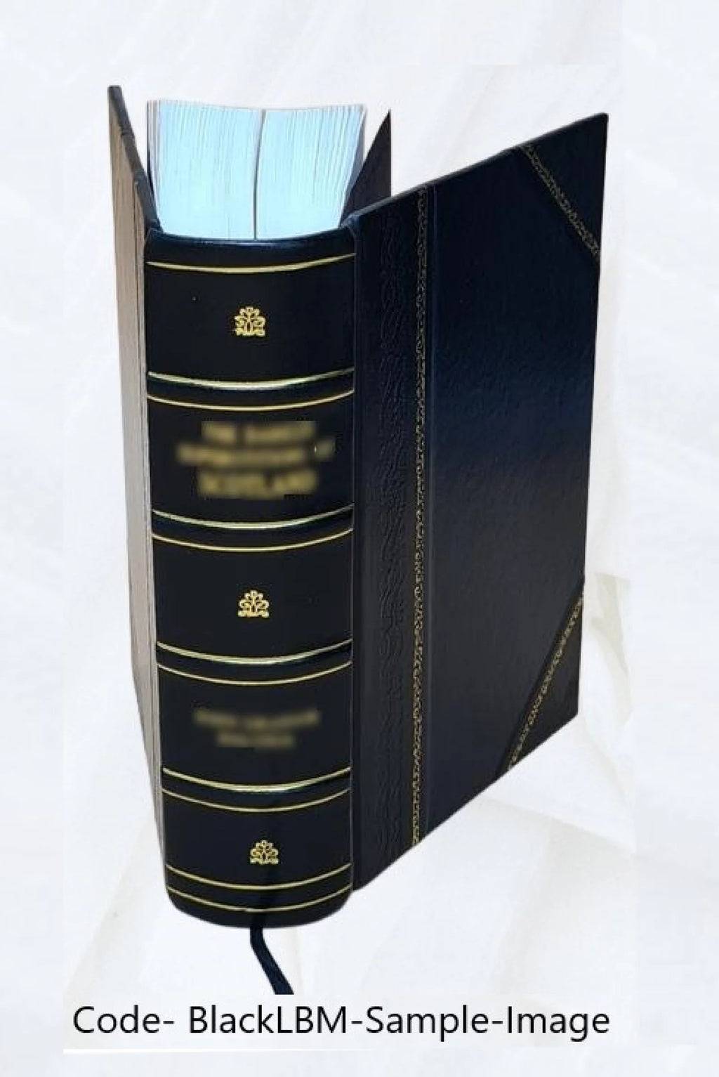 Zemský věstnik pro čechy. Volume 1870-71 1871 Leather Bound G600192