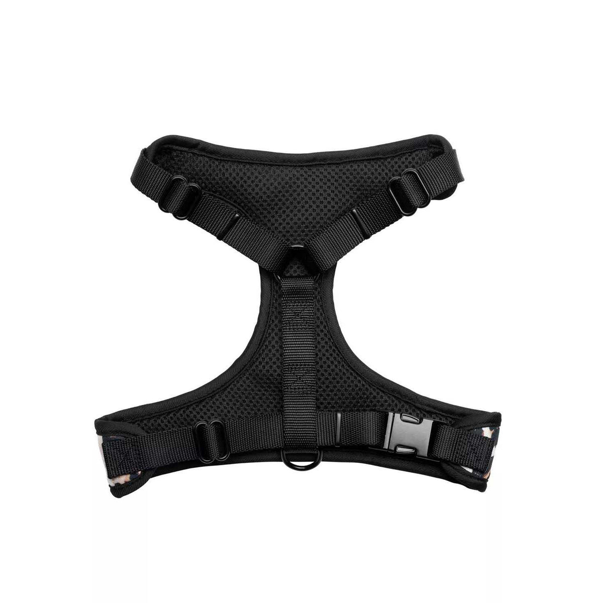 Harness & Leash Set B590450