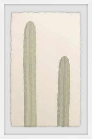 Framed Print P20790