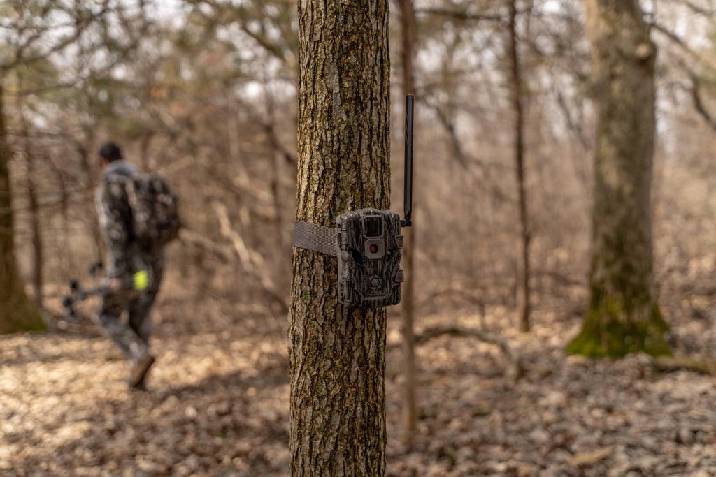 36MP Cellular Trail Camera E70107