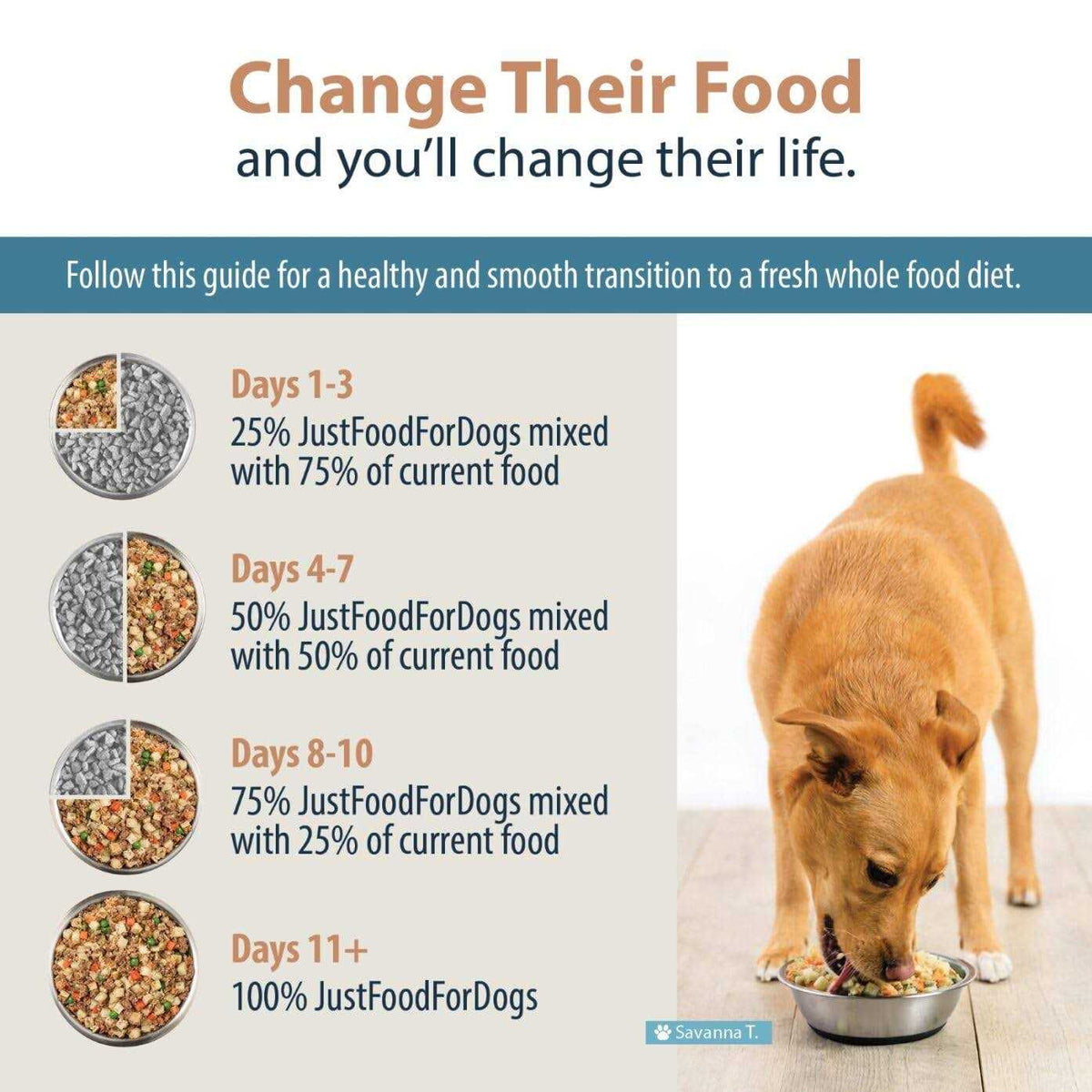 Fresh Frozen Dog Food X8171