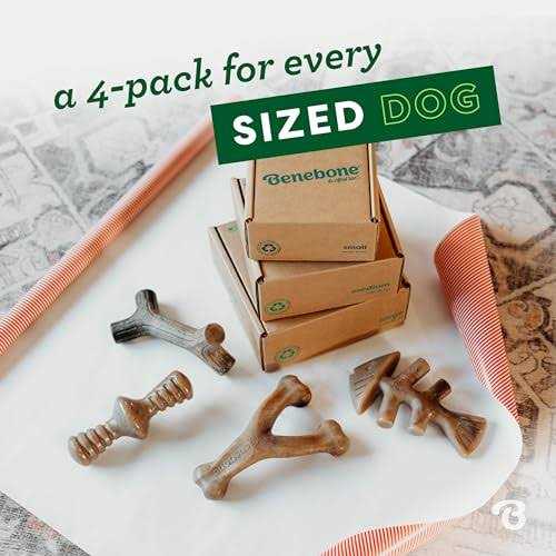 Holiday 4 Pack Dog Chew Toy Y975