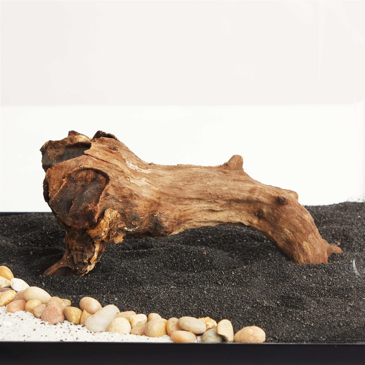 Driftwood V8230