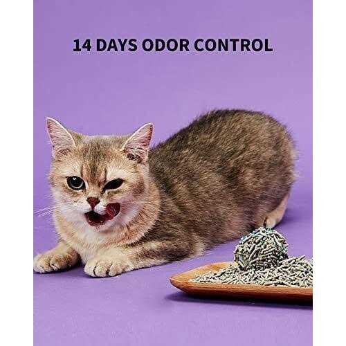 5 in 1 Mixed Cat Litter, Strong Clumping, Unscented Ultra Absorbent T8406