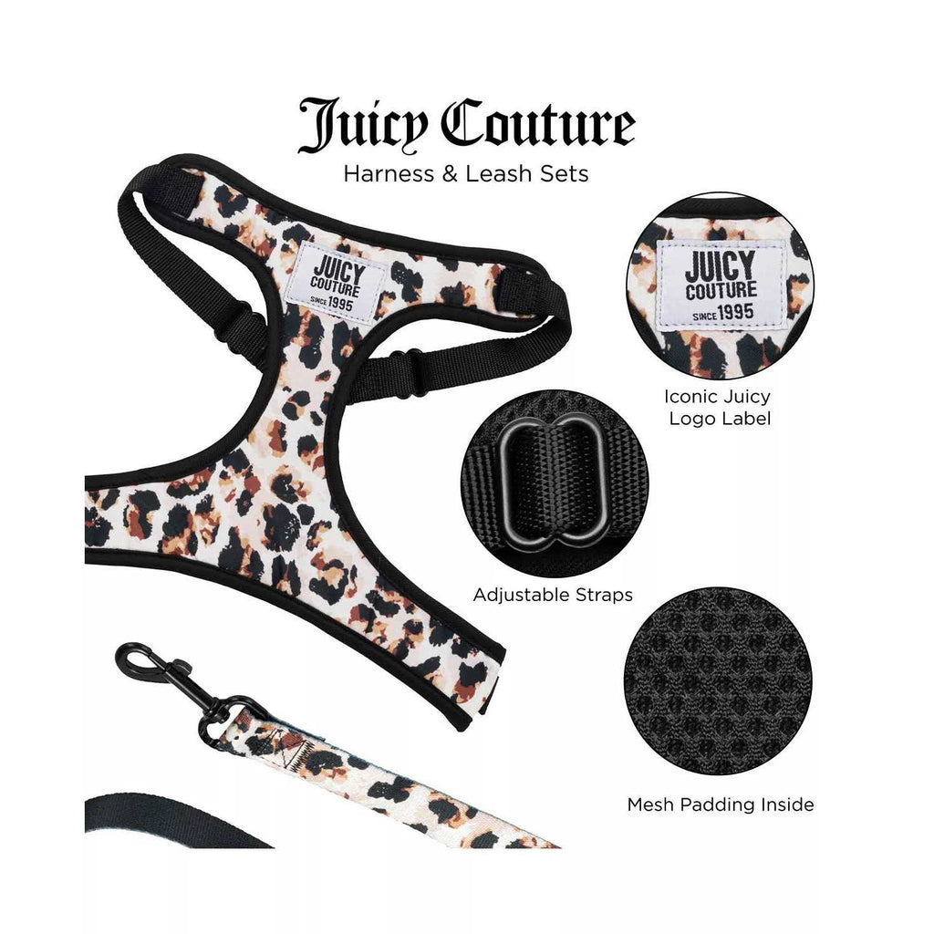 Harness & Leash Set B590450