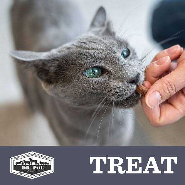 Freeze Dried Salmon Dog Treat and Meal Topper F2542