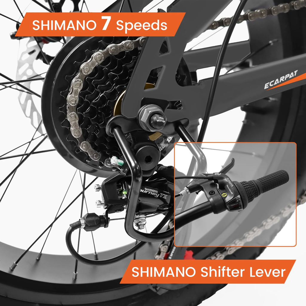 20 Inch Fat Tire Mountain Bike with Dual Disc Brake High-Carbon Steel Frame S771