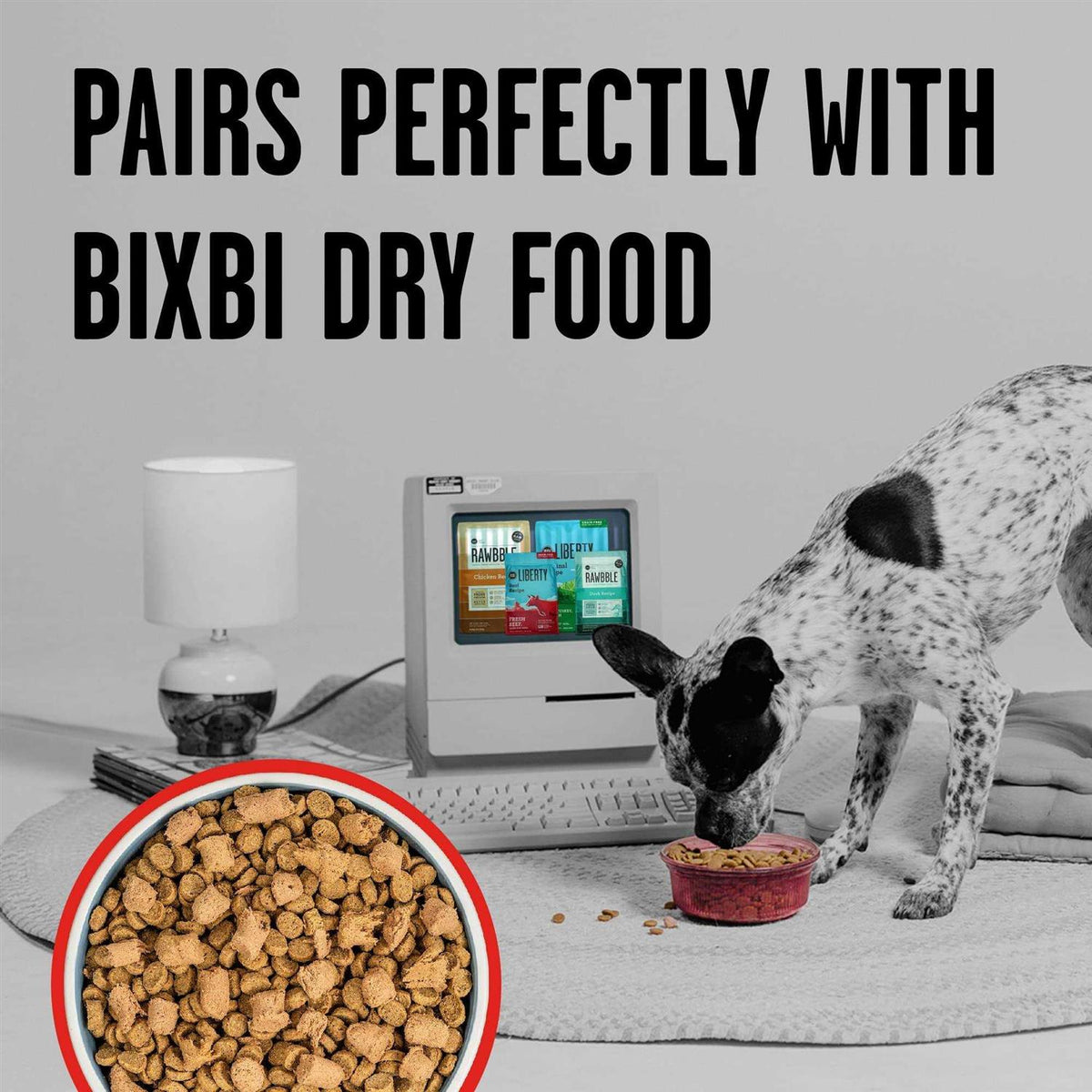Freeze Dried Beef Dog Food Y46140