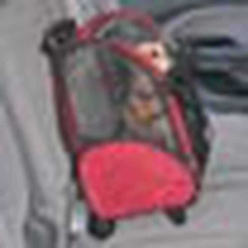 Travel Pet Carrier S307625