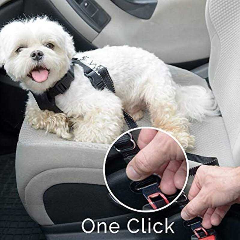 Double Sided Dog Grooming Brush and De-Matting Comb W815