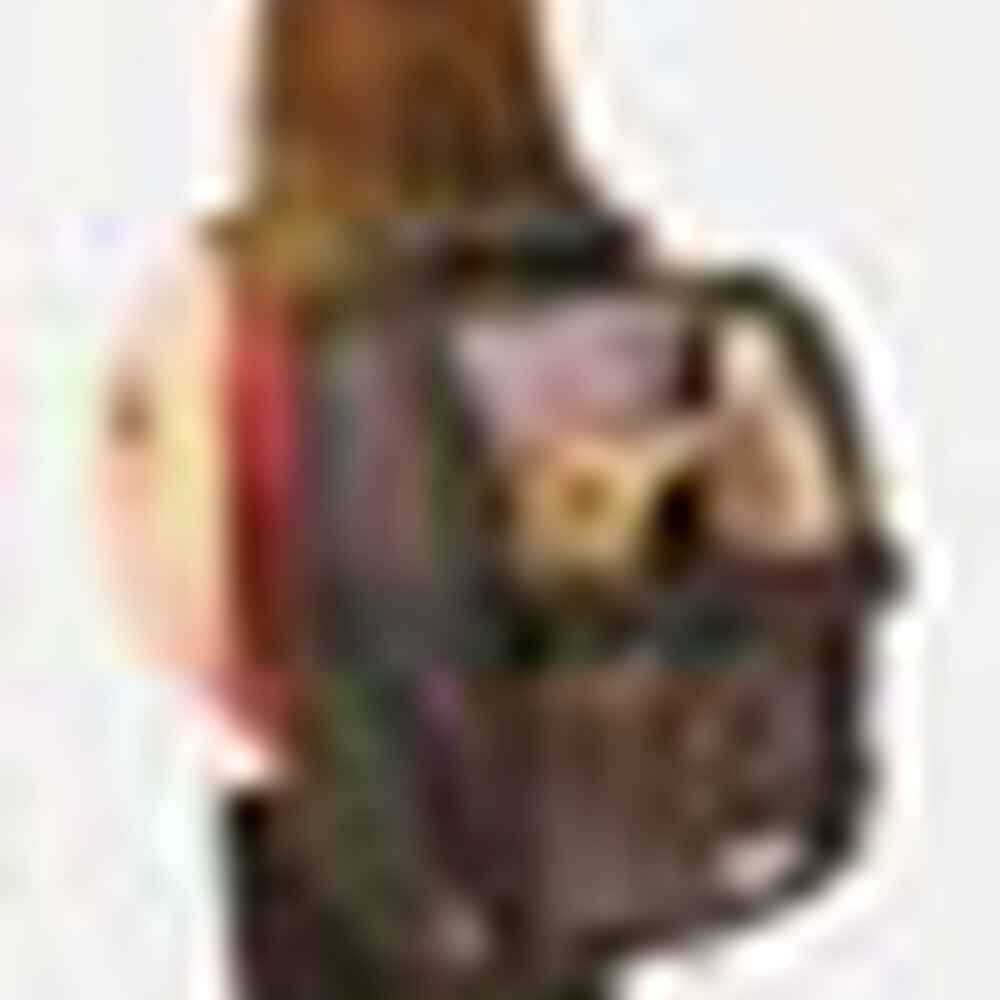 Travel Pet Carrier S307625