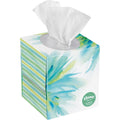 White 2-Ply Facial Tissue, 65 Sheets/Box, 27 Boxes/Carton Y8726