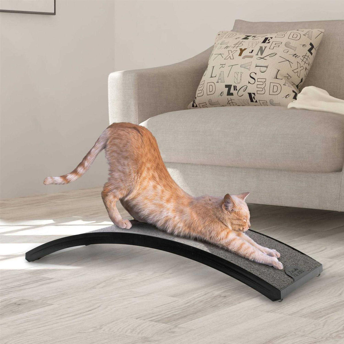 Curved Floor Scratching Board for Cats Q8051