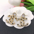 Earrings N72470