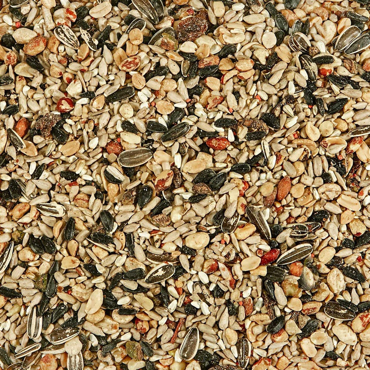 Nut & Fruit Blend Wild Bird Food H78424