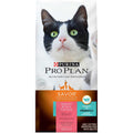 Salmon & Rice Formula Dry Cat Food X131