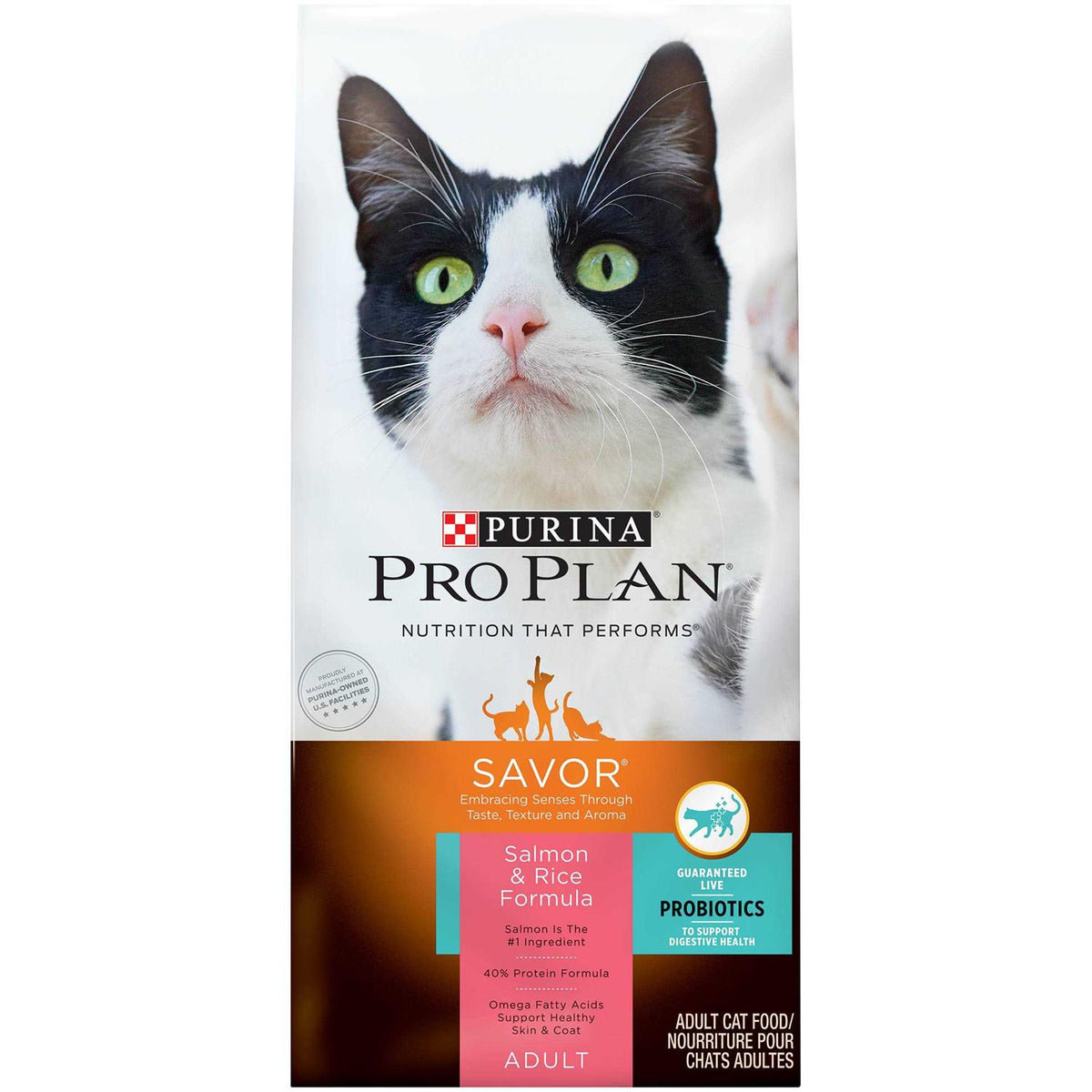 Salmon & Rice Formula Dry Cat Food X131