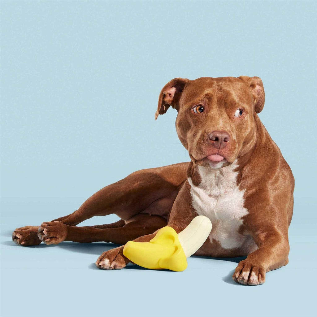 Super Chewer Dog Toy Q637276