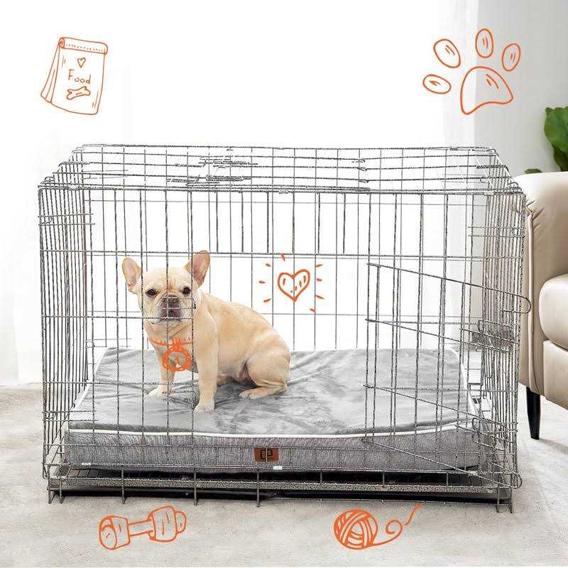 Orthopedic Foam Dog Bed with Waterproof Lining N23468