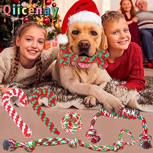 Christmas Dog Rope Toys 6 Pack H11852