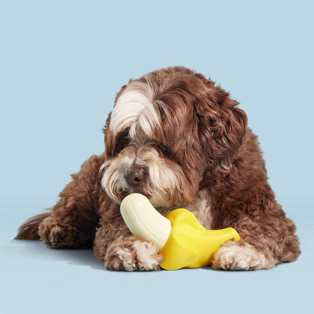 Super Chewer Dog Toy Q637276