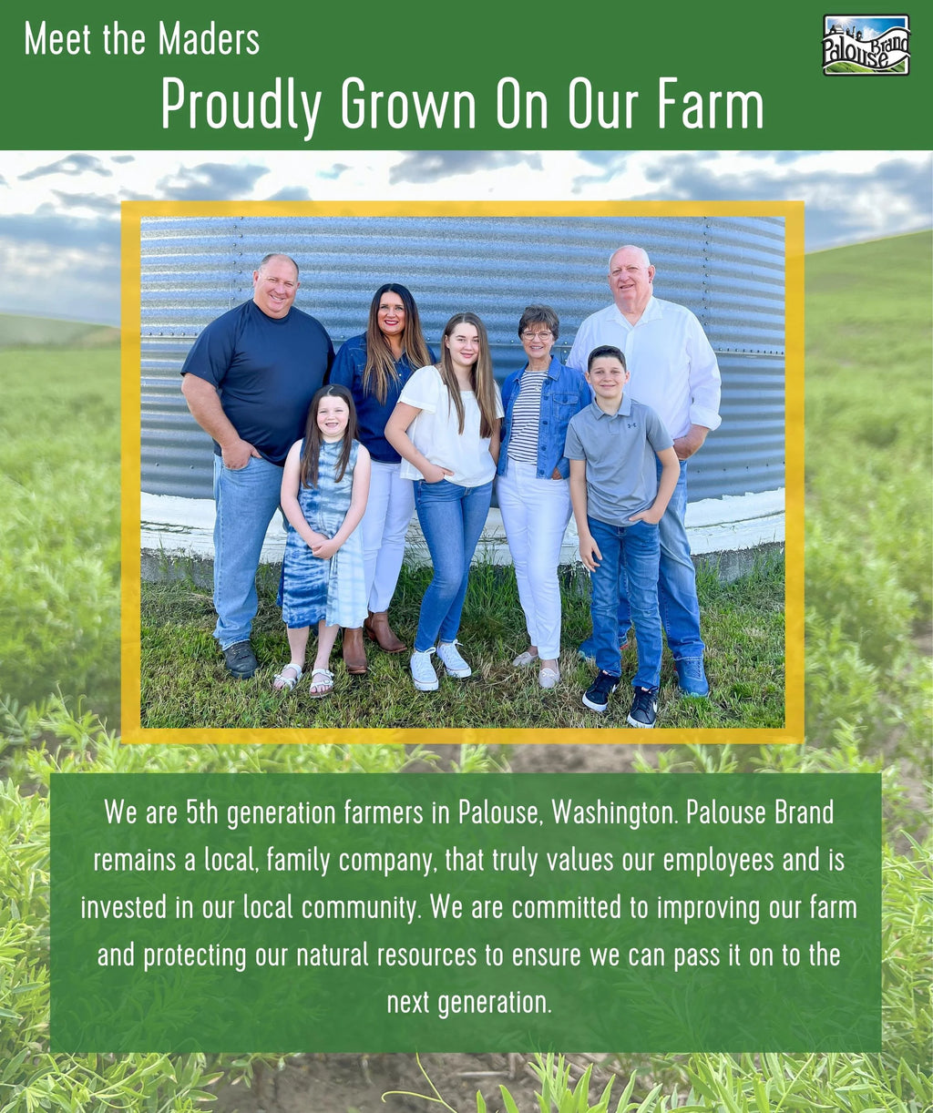 Chickpeas, Lentils and Green Split Peas 75 LBS Q7901