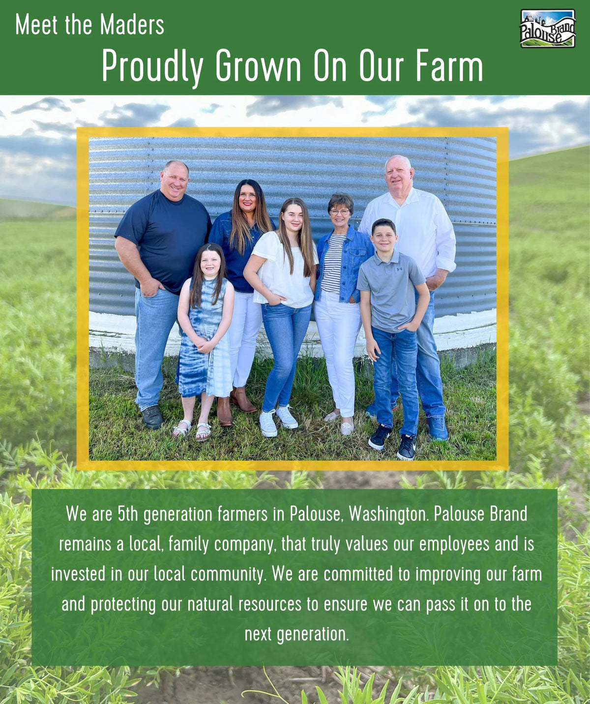 Chickpeas, Lentils and Green Split Peas 75 LBS Q7901