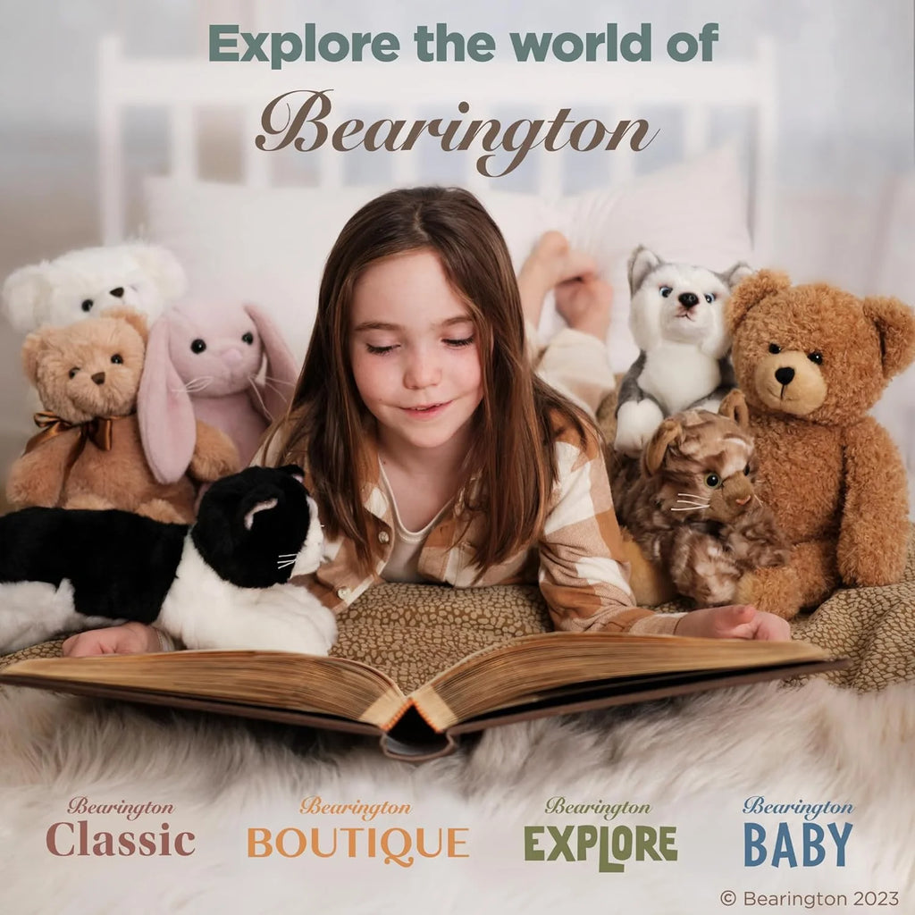 Brown Plush Teddy Bear, 17 inches D598890