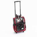 Travel Pet Carrier S307625