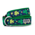 Dog Collar H164501