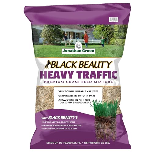Black Beauty Heavy Traffic Grass Seed 25 lb D190
