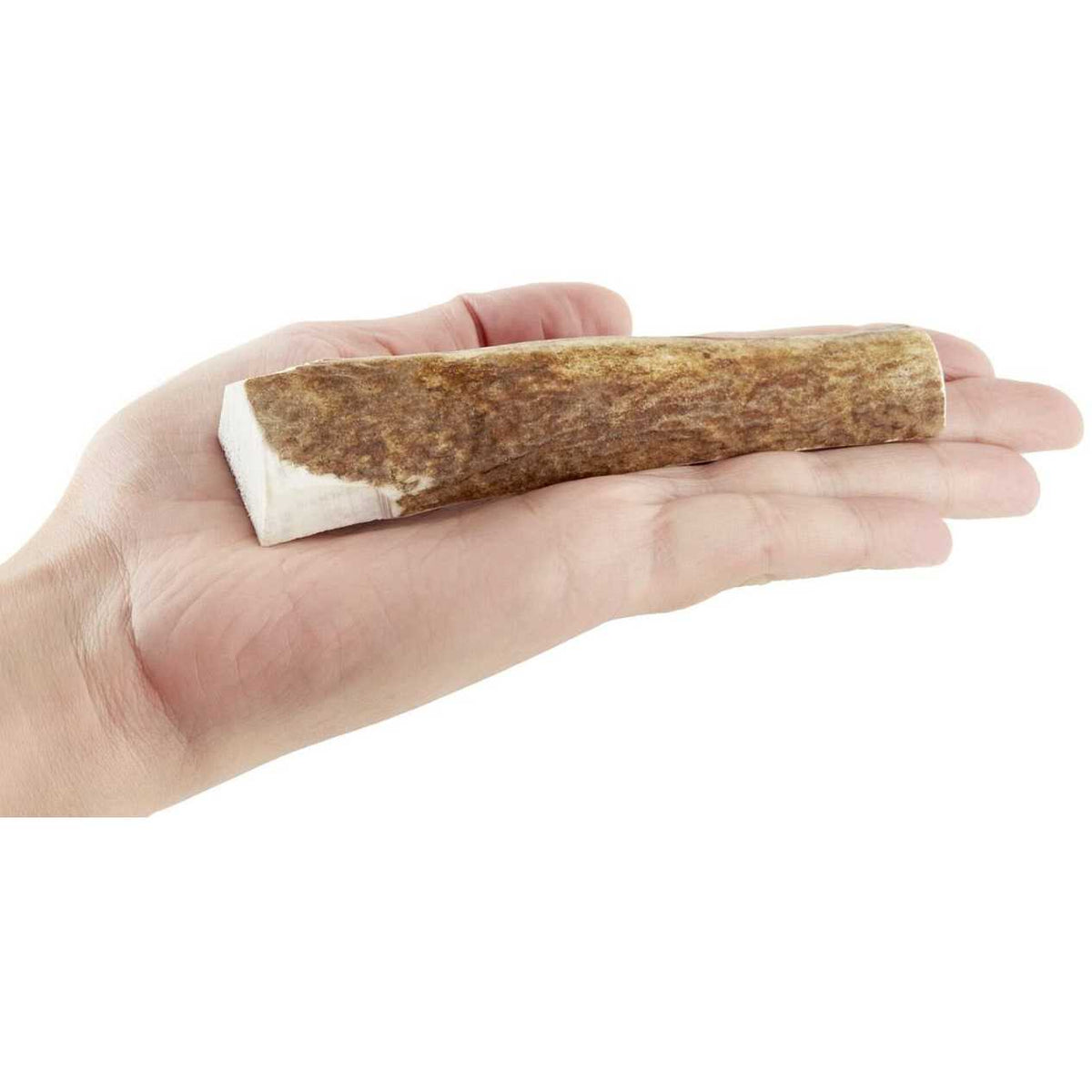 Wild Antler Split A39884