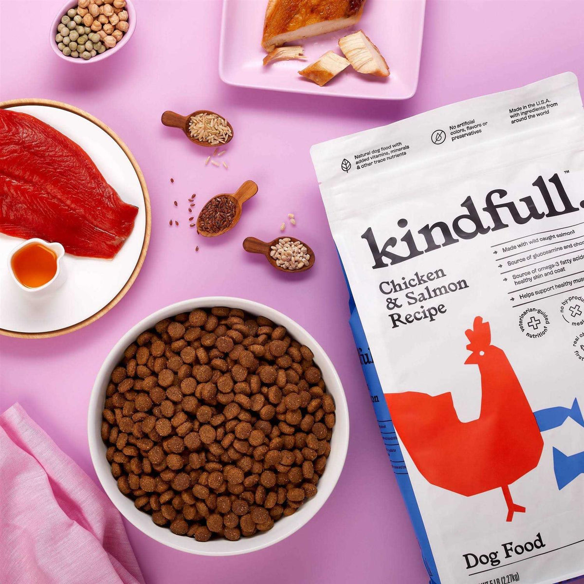 Chicken and Salmon Recipe Dry Dog Food H452929