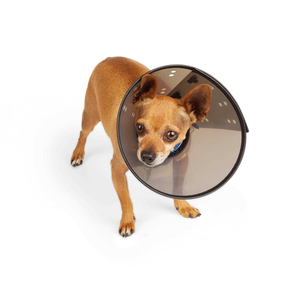 Recovery Cone Collar T736